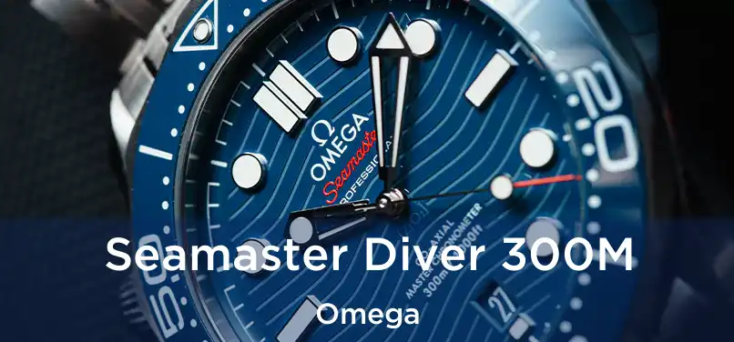  Seamaster Diver 300M Omega